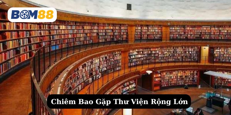 Tìm hiểu ý nghĩa của giấc mơ thấy thư viện rộng lớn