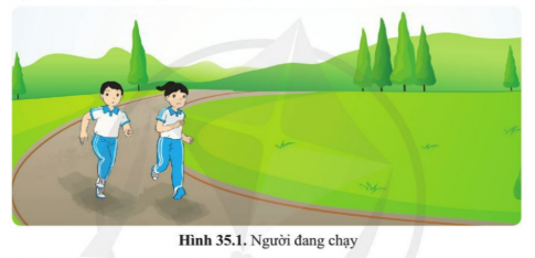 BÀI 35. SỰ THỐNG NHẤT VỀ CẤU TRÚC VÀ CÁC HOẠT ĐỘNG SỐNG TRONG CƠ THỂ SINH VẬT 