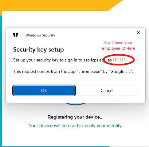 A screenshot of Windows Security key setup screen that will have your Employee ID display as the login