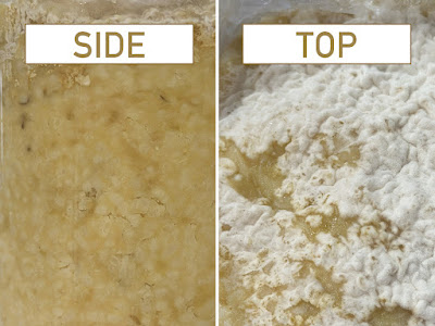 Side view: The color is getting darker. Top view: The white film has grown.