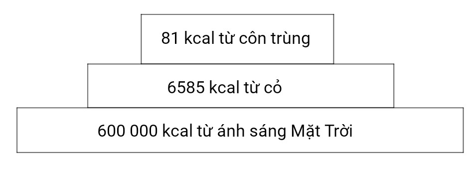 BÀI 23. HỆ SINH THÁI