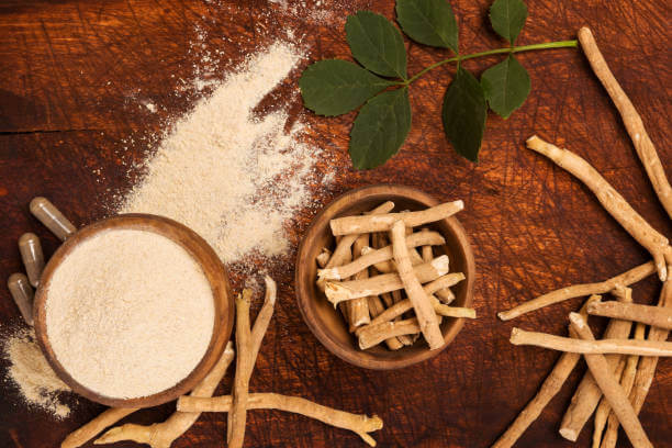 A close-up photo of ashwagandha root alongside its powdered form, showcasing the natural herb in both its raw and processed states.