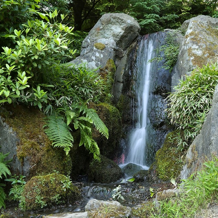 Kubota Garden