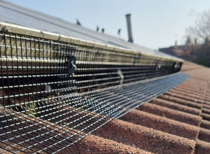 Solar Panel Bird Proofing Near Me