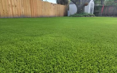 Stunning Yards with Artificial Grass