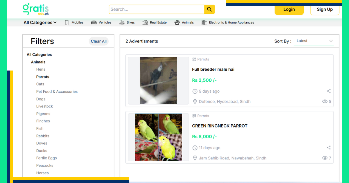 Parrots for sale in Pakistan are listed on websites such as GratisAds.pk by individual breeders, pet stores, and bird lovers. Breed, cost, and location may all be used as filters.