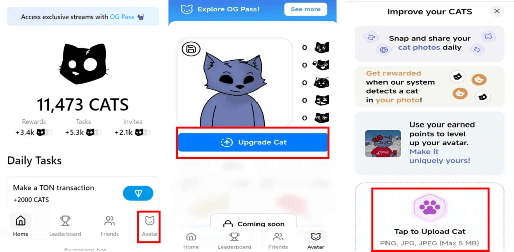 upload a cat photo in the avatar section of cats airdrop?