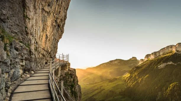 12 Coastal Cliffs Rising from the Sea, coastal cliff, rising peak, nature, forest, landscape, ocean view, rocky shore