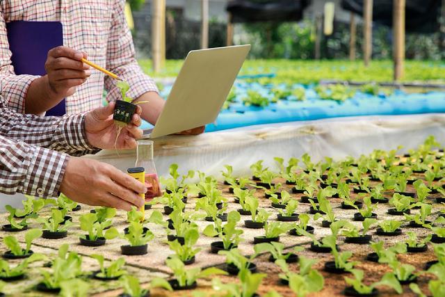 Hydroponic System