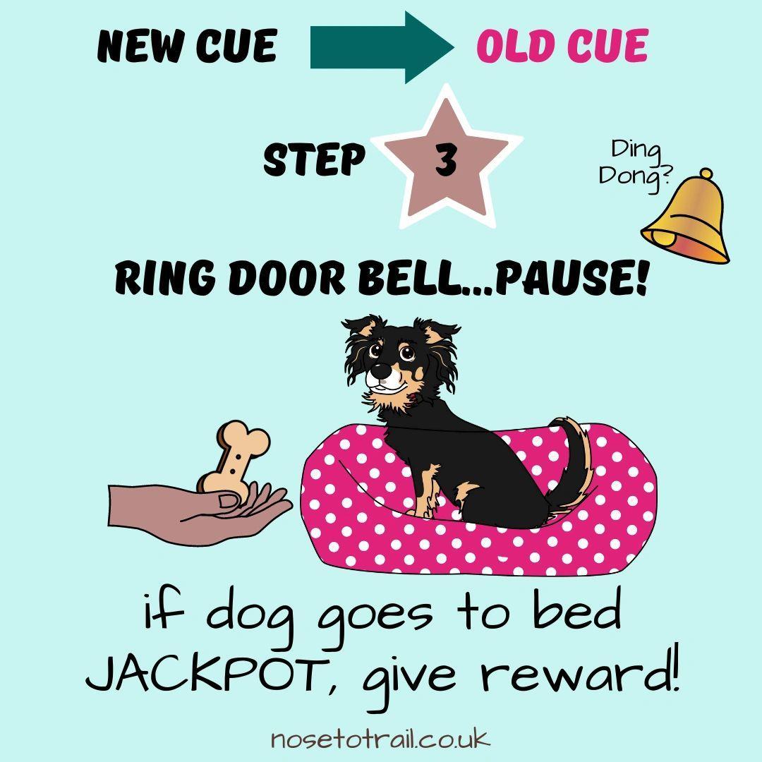infographic showing Step 3 of the process