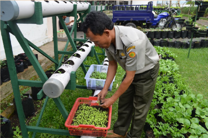 Urban farming&nbsp;metode vertikultur. Sumber:&nbsp;Kementerian Pertanian Republik Indonesia Pusat Perpustakaan dan Literasi Pertanian