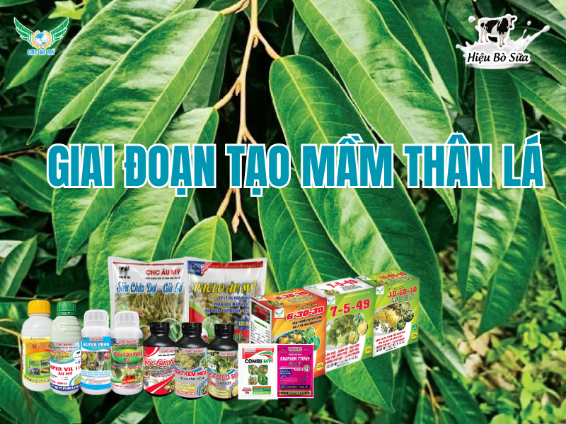 BỘ SẢN PHẨM CÔNG TY CÔNG NGHỆ CAO ÂU MỸ 