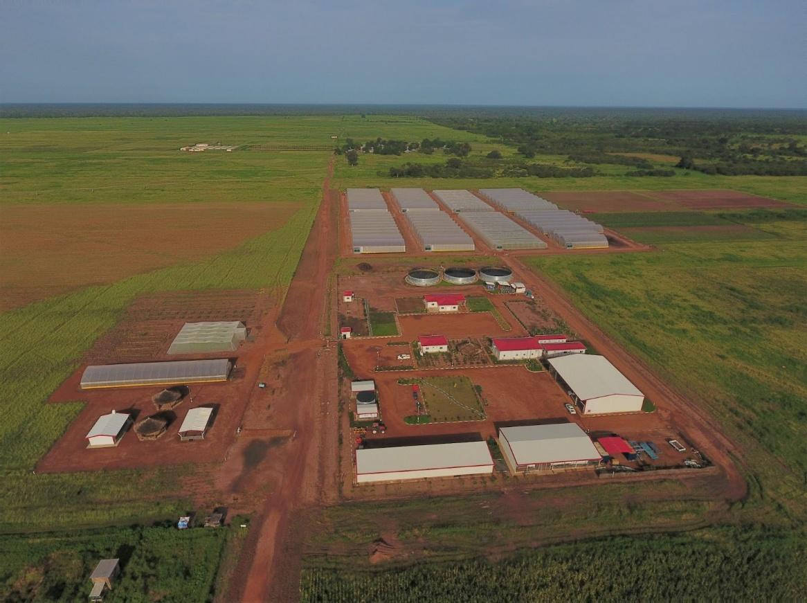 A aerial view of a farm

AI-generated content may be incorrect.