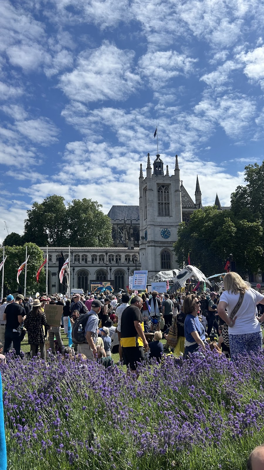Scene from the Restore Nature Now march in Parliament Square. Lavender is in the foreground, the Houses of Parliament are in the background and there is a crowd of people of all ages with banners and bird sculptures. One man is dressed as a bee.