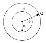 Important Questions for Class 12 Physics Chapter 1 Electric Charges and Fields Class 12 Important Questions 47