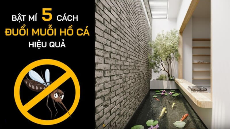  5 cách đuổi muỗi và diệt muỗi hiệu quả cho hồ cá Koi