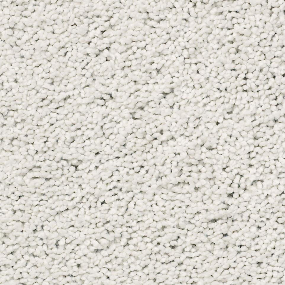 Frieze carpet flooring 