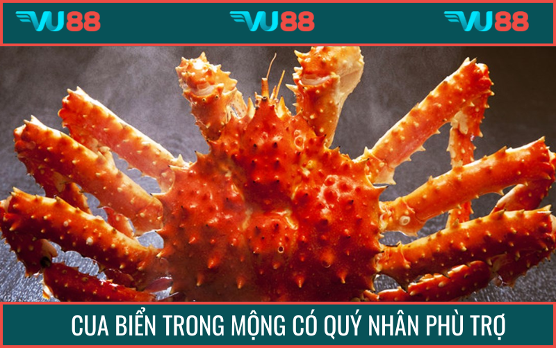 Cua biển trong cơn mộng quý nhân sắp đến