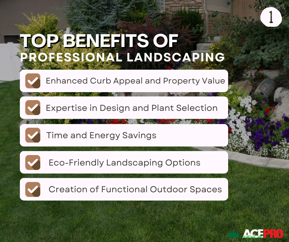 Benefits of Professional Landscaping services