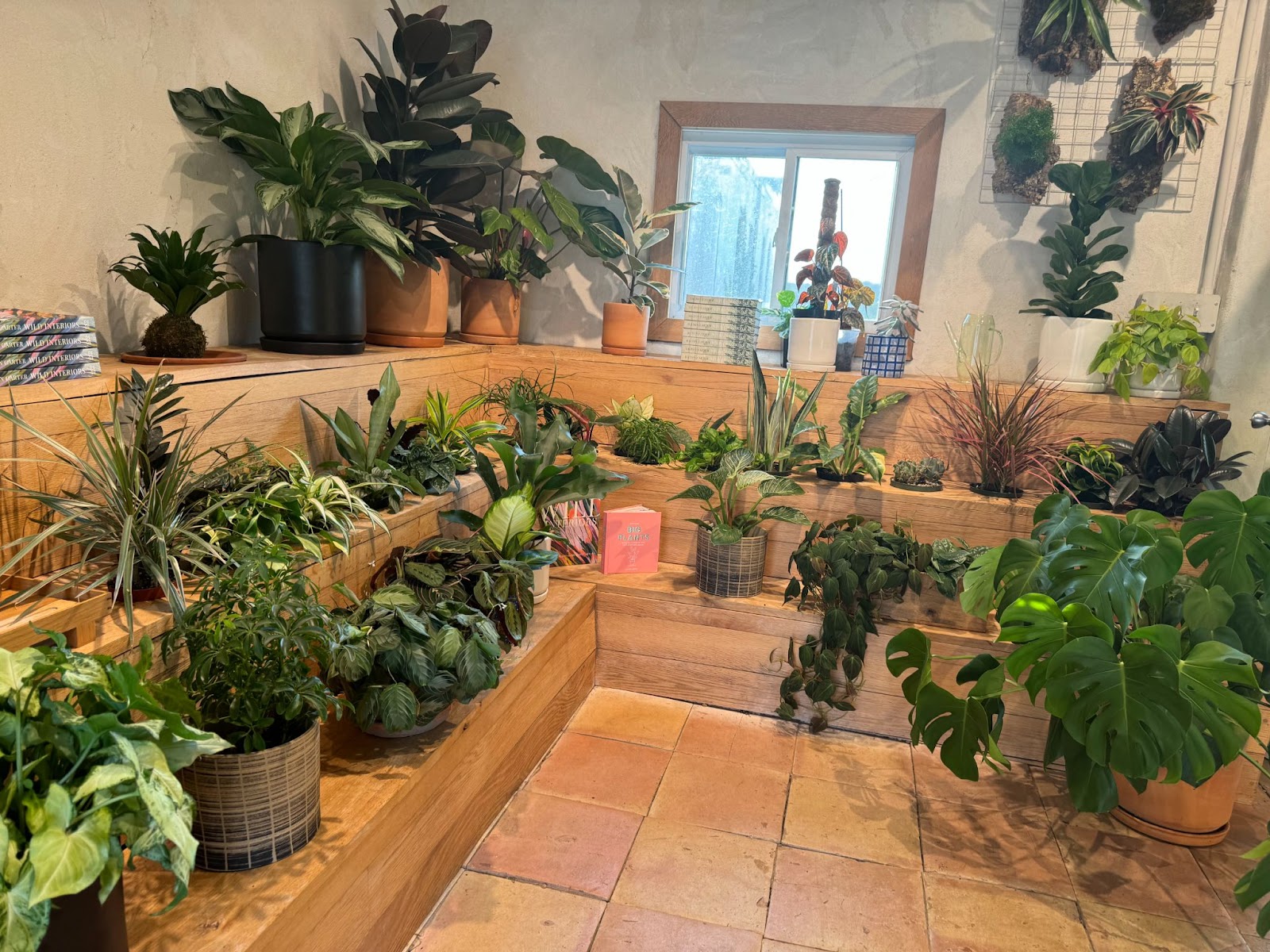 A display of green potted plants inside of a plant shop. 