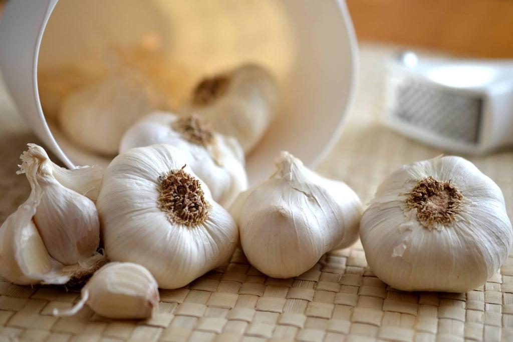 Does Garlic Shampoo Work? – Noophoric