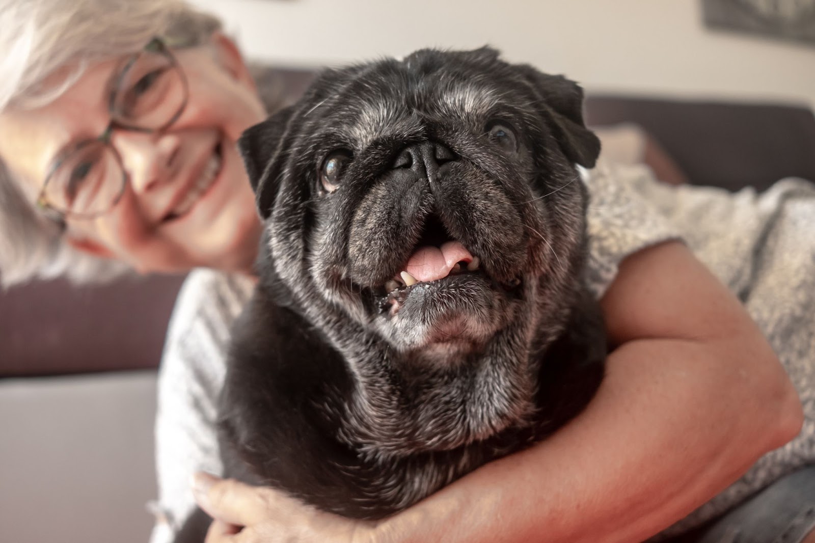 Cheerful senior woman hugging her black pug, both looking happily at the camera.