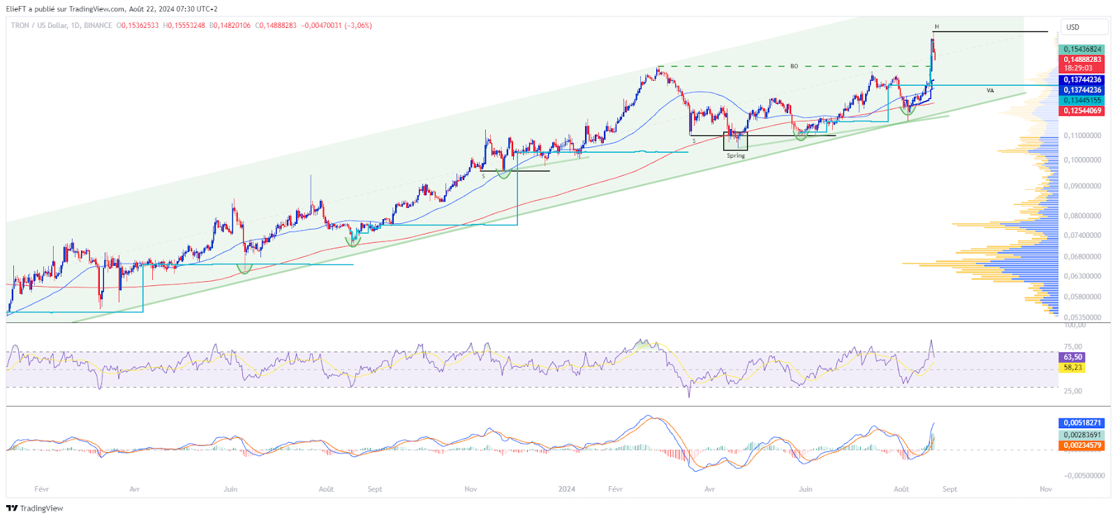 Graphique de prix TRON/USD en journalier