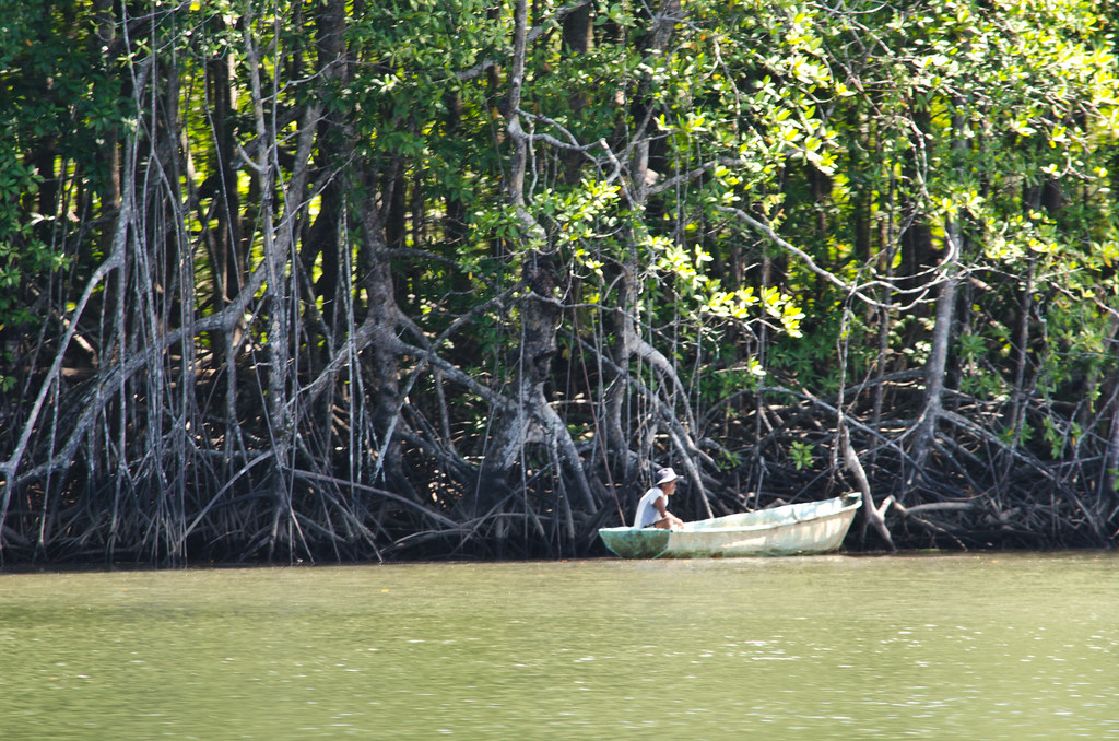 A man is in the boat in green water and has several trees on the border