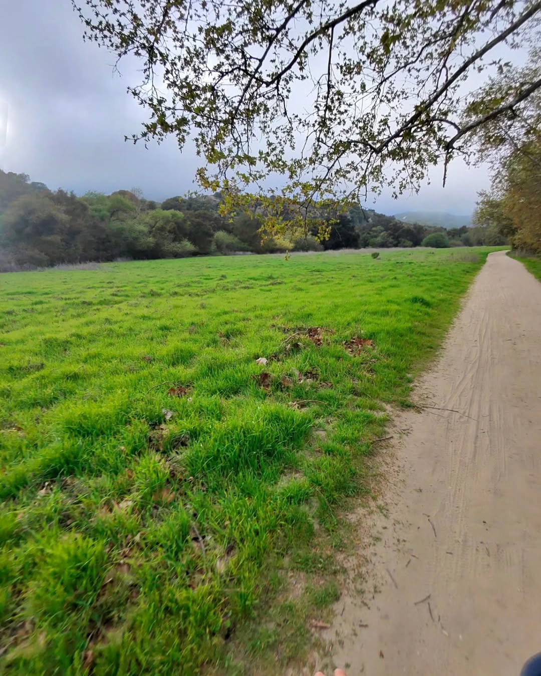 Mountain Biking at Aliso and Wood Canyons