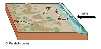 Parabolic sand dunes 