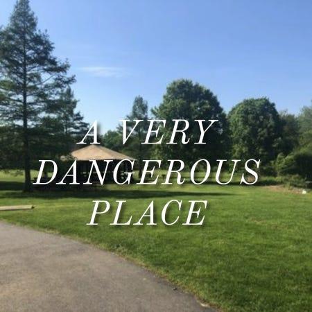 A path in a park with trees and grass AI-generated content may be incorrect.