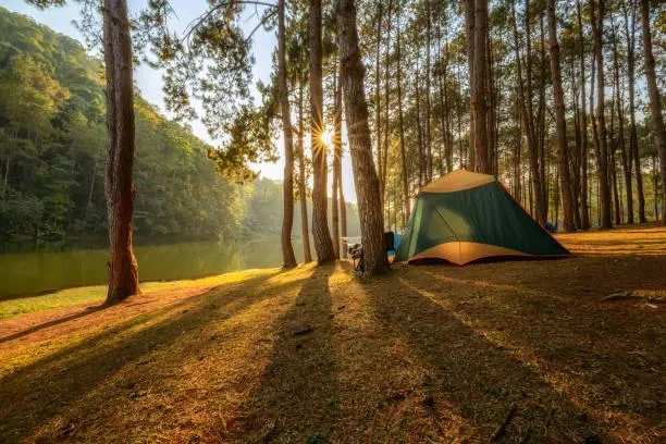Feel the Earth Breathe in These 20 Landscapes, breathing nature, earthy views, nature, landscape, alive landscapes, subtle motion