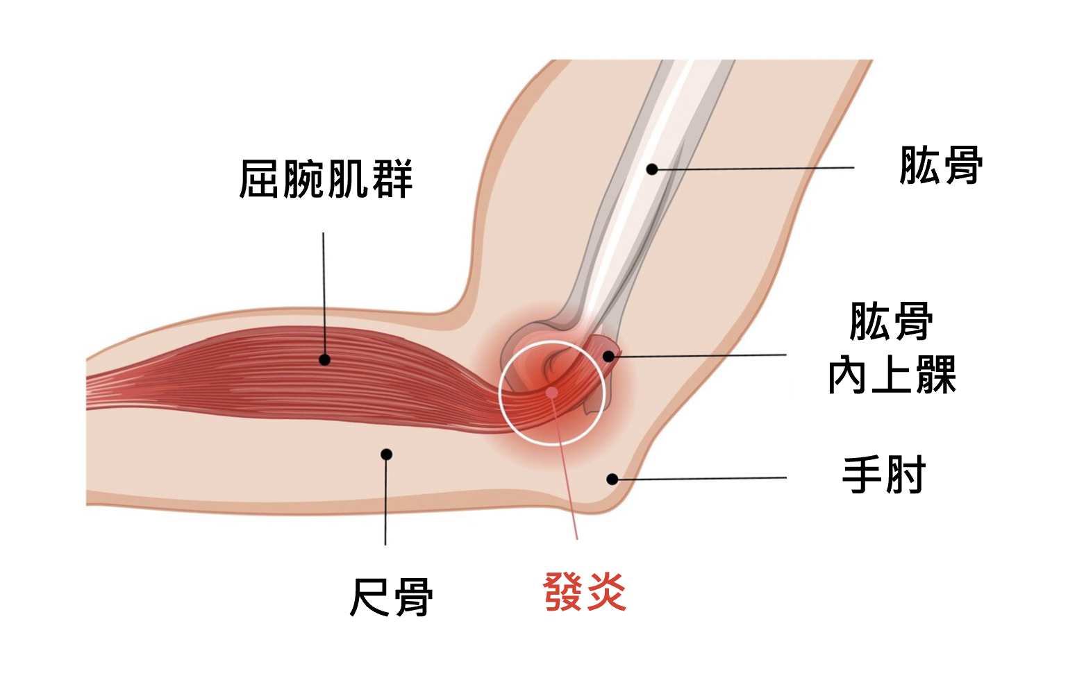 一張含有 文字, 設計 的圖片

自動產生的描述