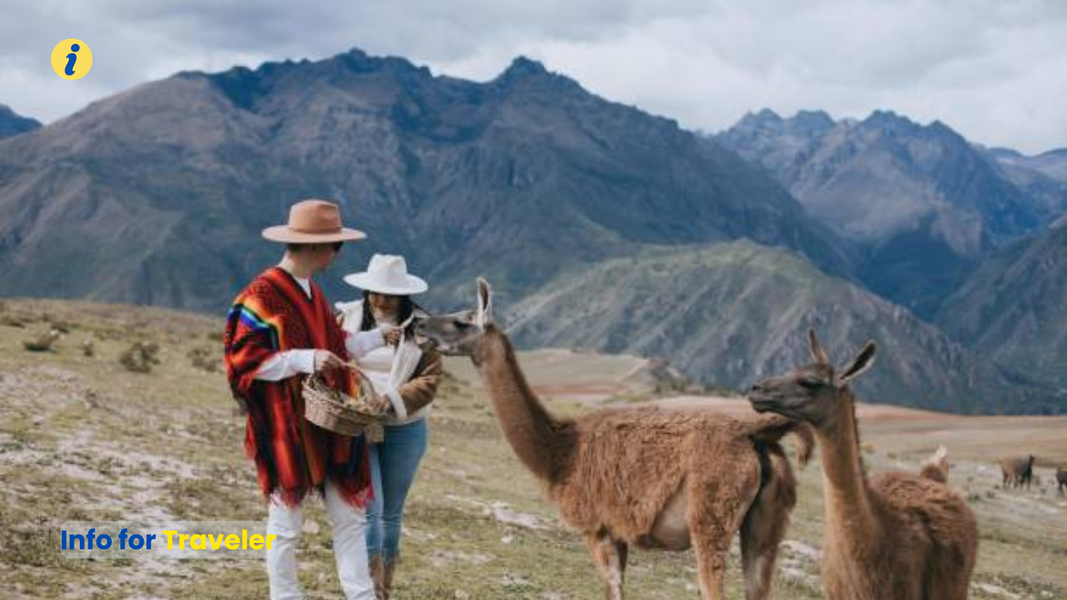The Old living nature in Sacred valley