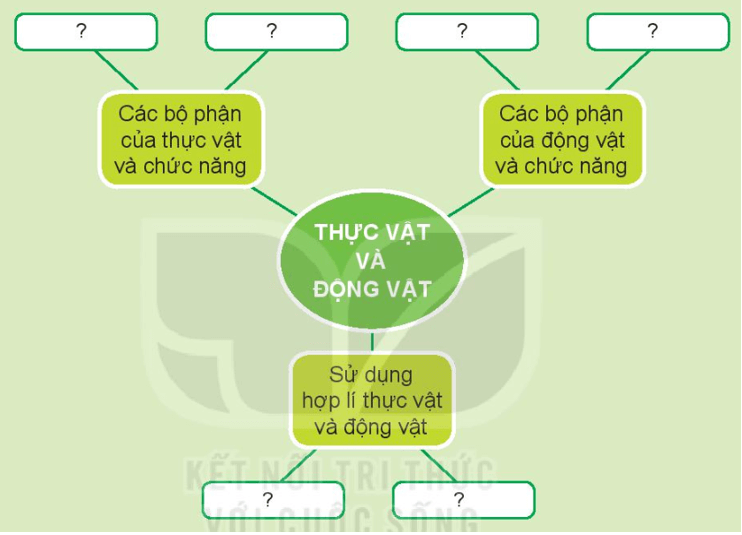 BÀI 17. ÔN TẬP CHỦ ĐỀ THỰC VẬT VÀ ĐỘNG VẬTTHỰC HÀNHCâu 1: Thảo luận và hoàn thành sơ đồ theo gợi ý sau:Đáp án chuẩn:Câu 2: Em ứng xử như thế nào trong tình huống sau:Đáp án chuẩn:Nếu em là bạn nam trong hình em sẽ giữ lại những trang giấy trắng để làm nháp vừa để tiết kiệm tiền mua vở nháp, vừa giúp tránh lãng phí tài nguyênVẬN DỤNG