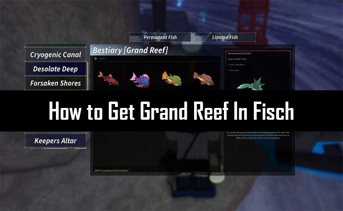 Grand Reef
