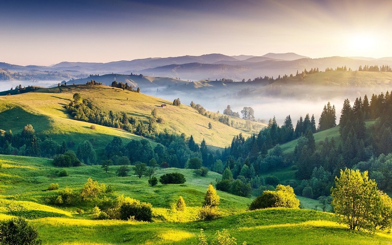 Misty hills of Kodaikanal, Tamil Nadu, with scenic lakes, dense forests, and charming hilltop cottages.