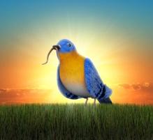 Early
bird.jpg