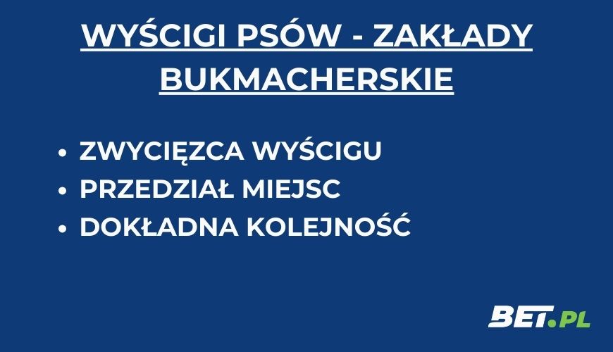 Wyścigi psów zakłady bukmacherskie