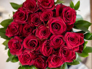 Rose - Plantation - Guide: - Season, - Manure, - Crafting, - Seedling, - Diseases, - Symptoms, - Treatment - and - Precaution