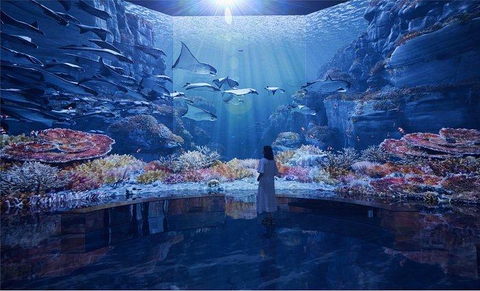 https://dynamic-media-cdn.tripadvisor.com/media/photo-o/2f/65/15/17/hei-square-4-360-1200.jpg?w=700&h=-1&s=1