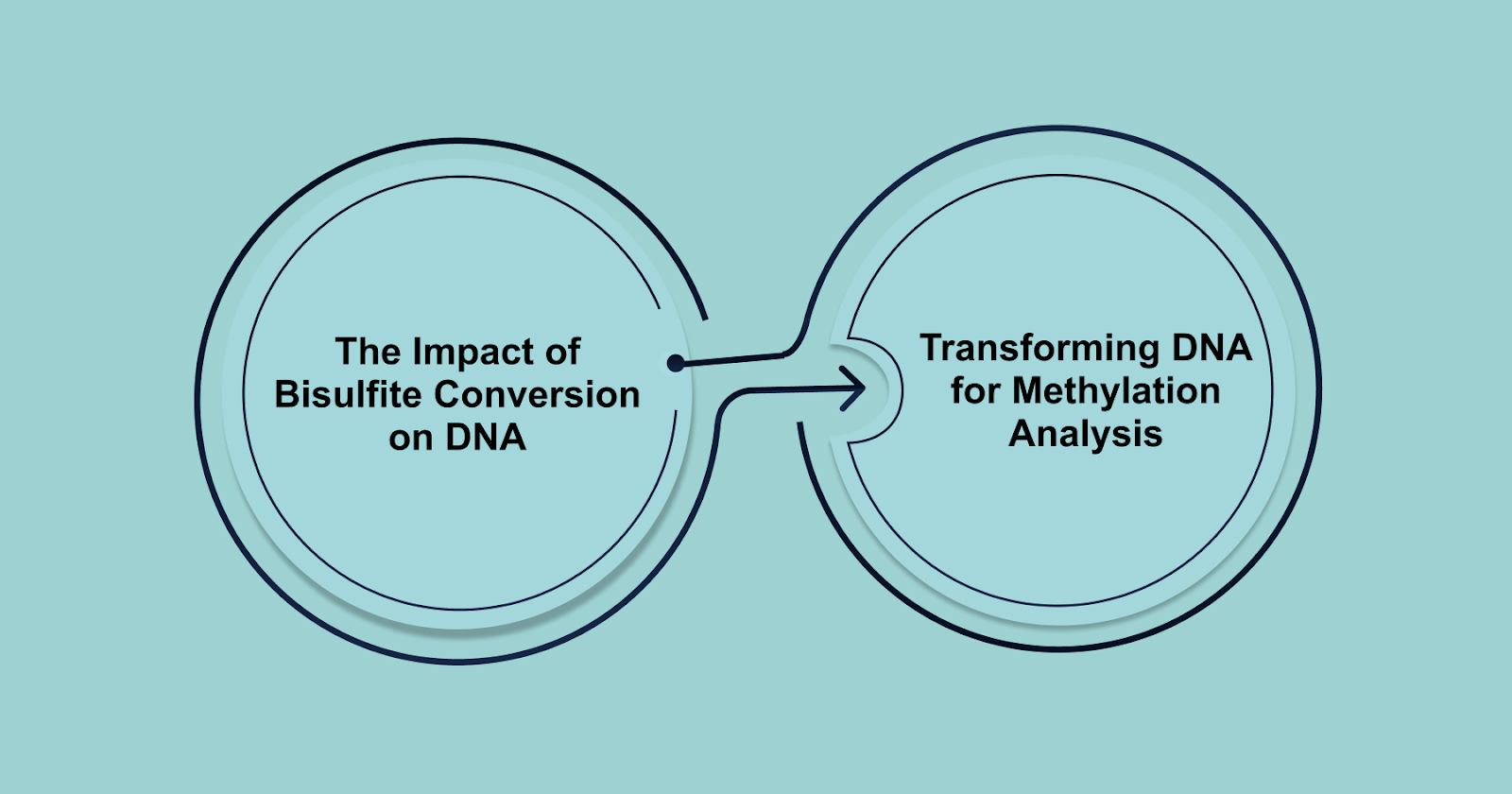 Understanding Bisulfite Treatment