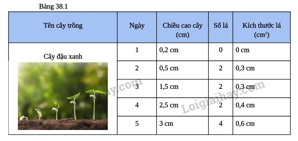 BÀI 38. THỰC HÀNH: QUAN SÁT, MÔ TẢ SỰ SINH TRƯỞNG VÀ PHÁT TRIỂN Ở MỘT SỐ LOÀI SINH VẬT