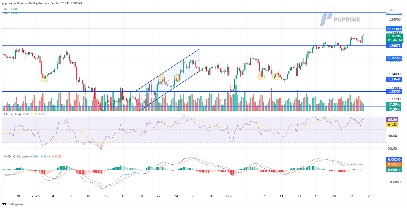 gbpusd 24022025