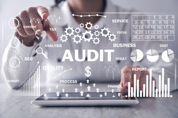 how to audit website for seo
