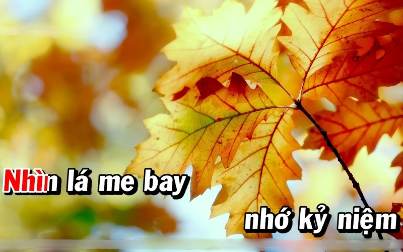 Top bài hát karaoke dành cho nữ 8x, 9x