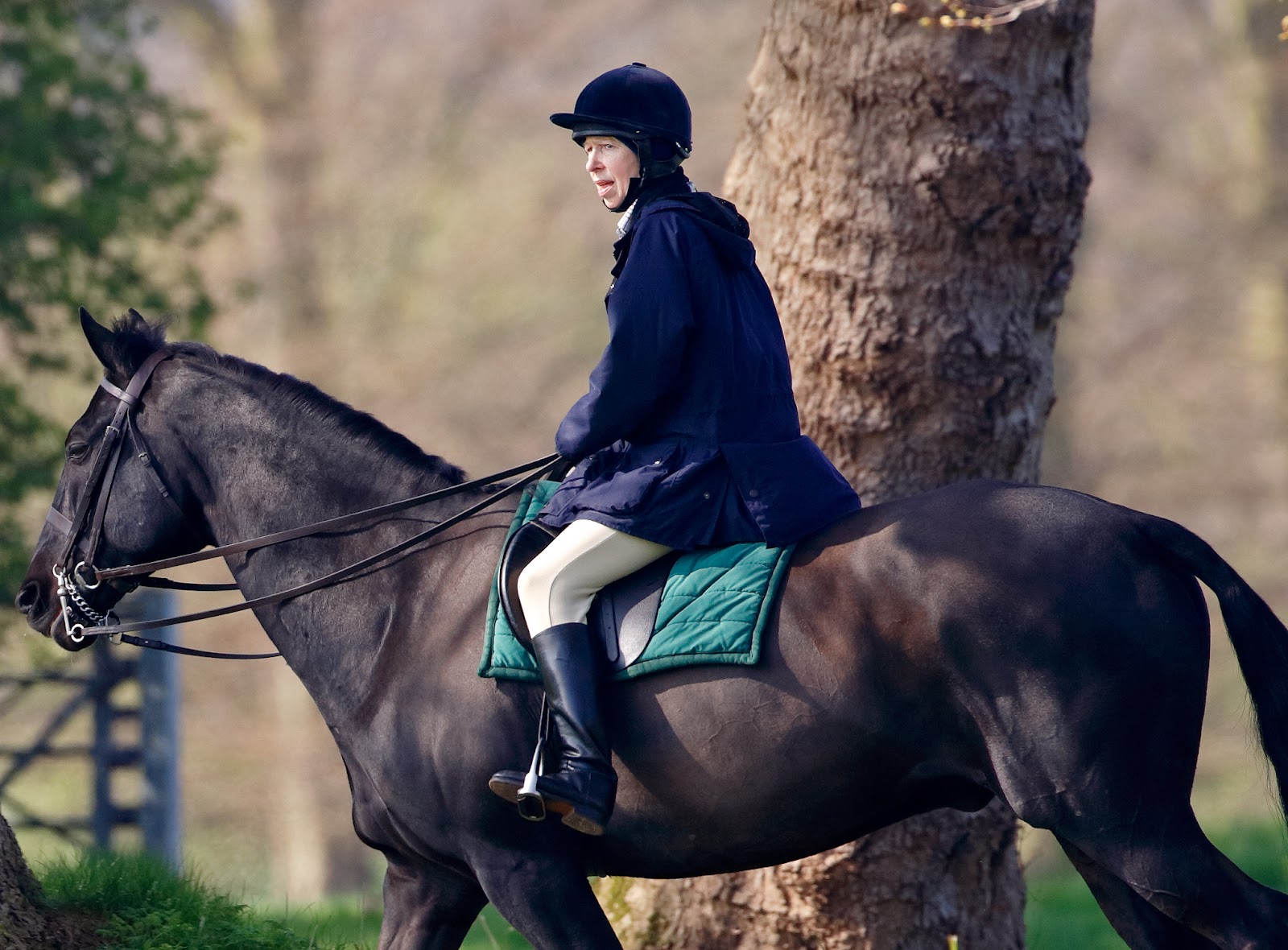 Princess Anne seen horse riding in the grounds of Windsor Castle on April 22, 2006, in Windsor, England. | Source: Getty Images