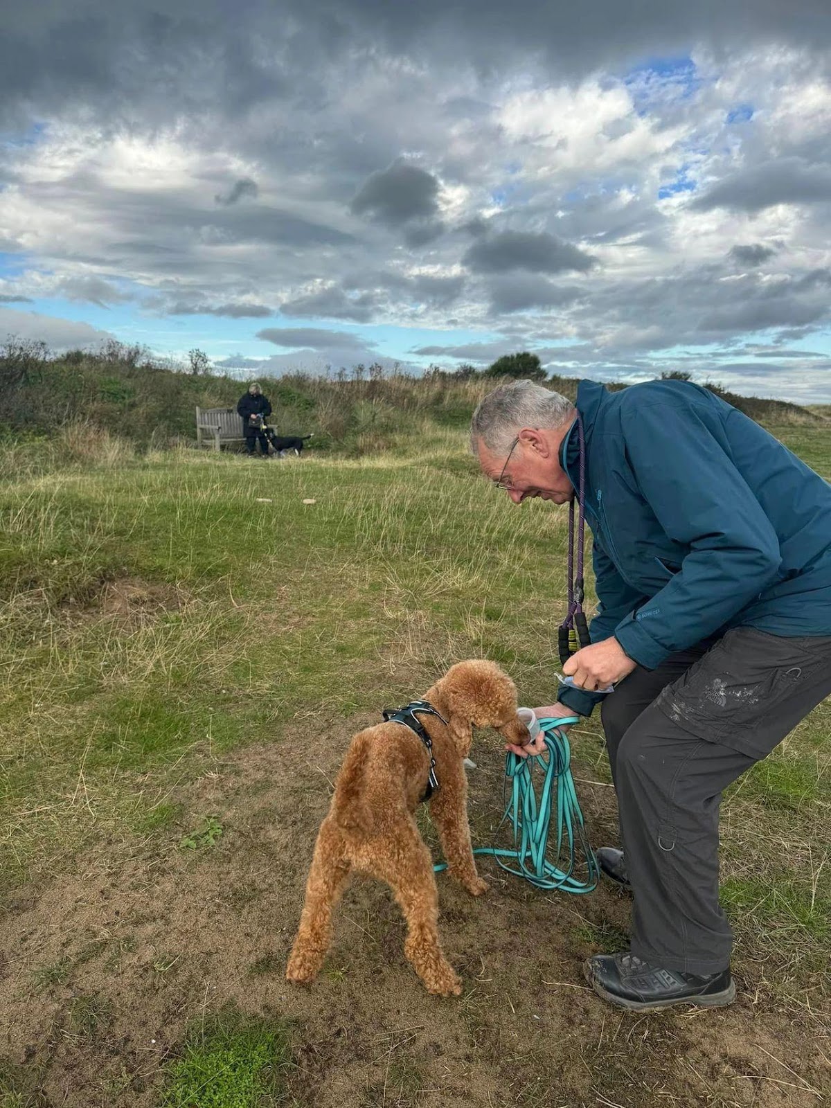 Ben the Poodle being rewarded at the end of his pet trail