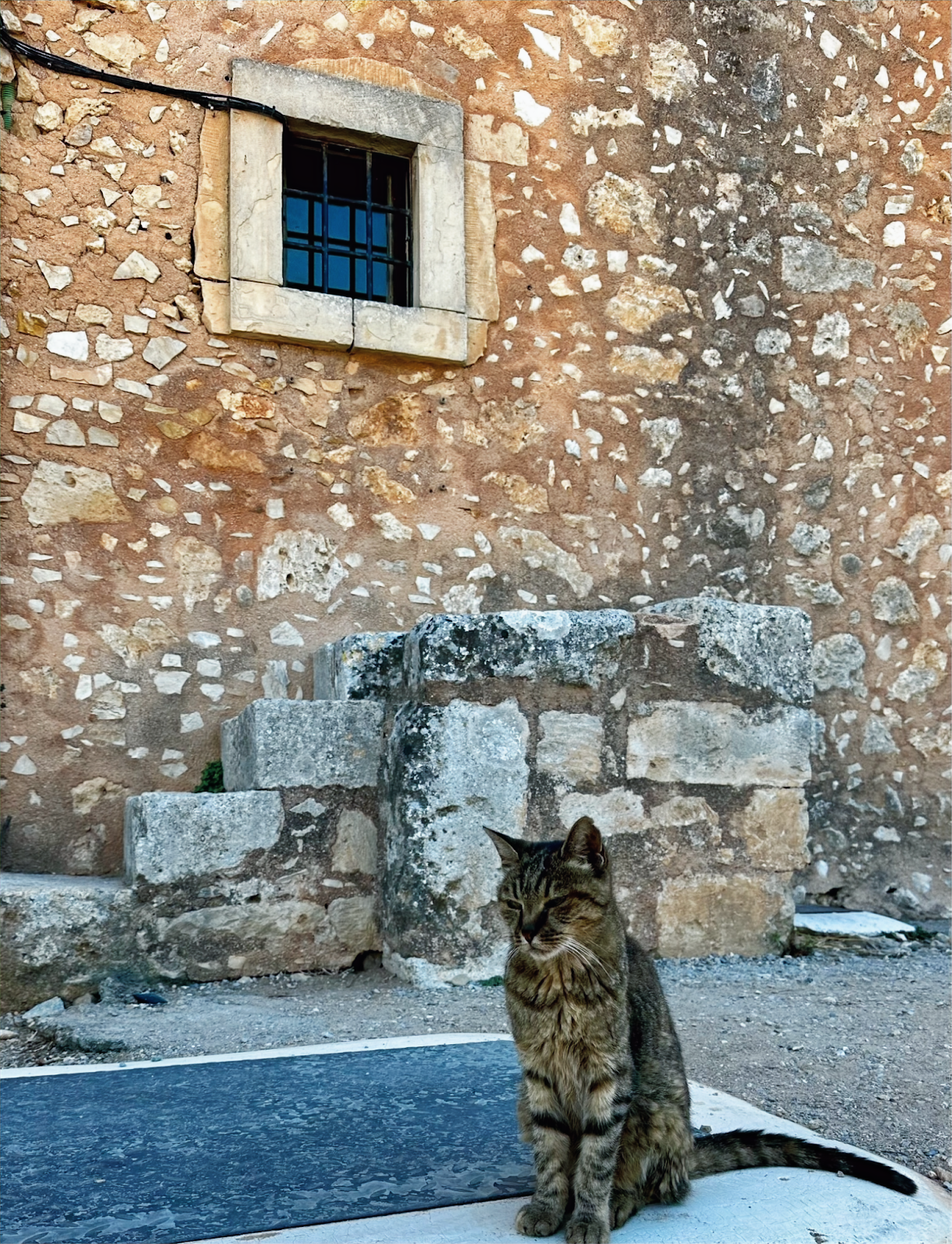 Rethymnon (Crete) Old Town, stray cat in the street