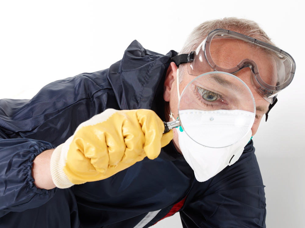 Pest Inspection Service